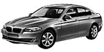 BMW F10 C1395 Fault Code